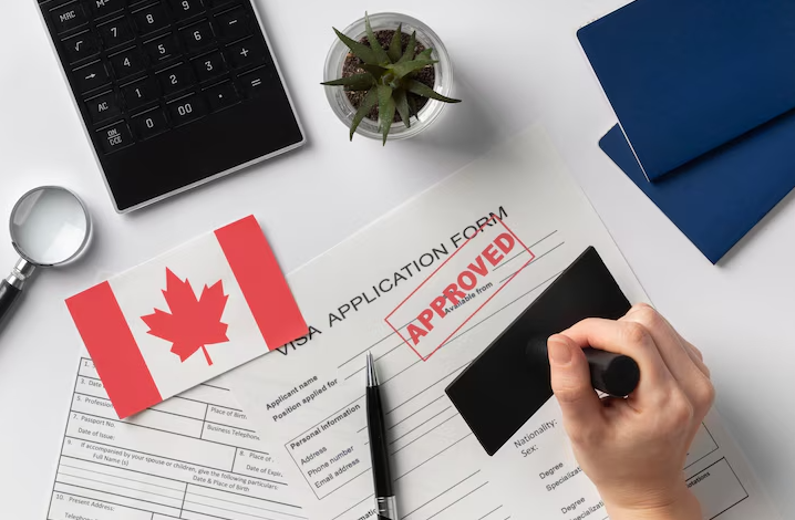 Bridge Financing Canada, Loans for Bad Credit Ontario: Reliable Solutions for Challenging Credit Profiles - Pinauna