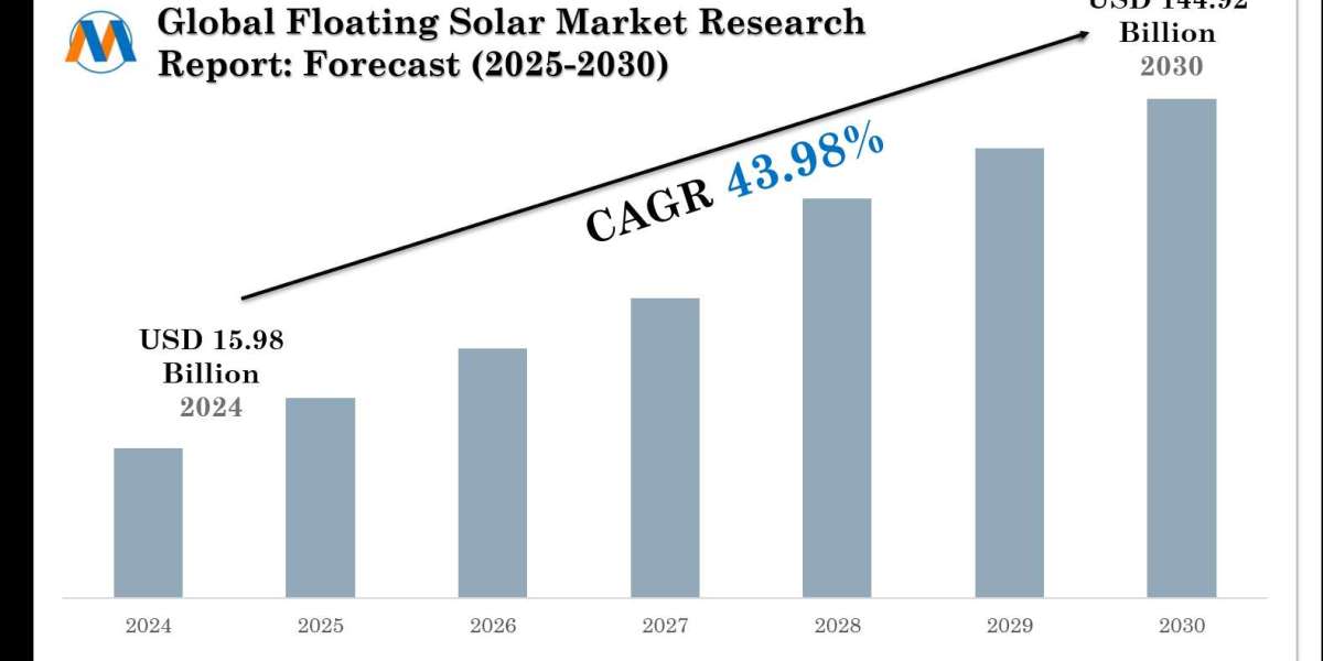 Floating Solar Market Outlook: Size, Share, and Competitive Trends 2030