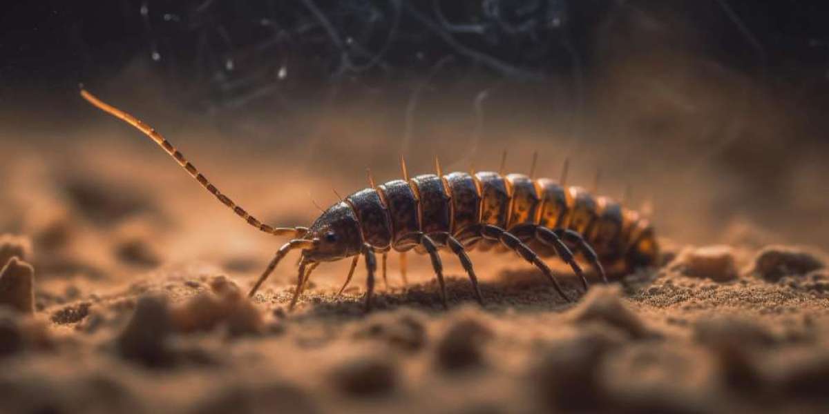Lice Infestations Treatment Sector: Market Evolution and Therapeutic Breakthroughs | DelveInsight Research