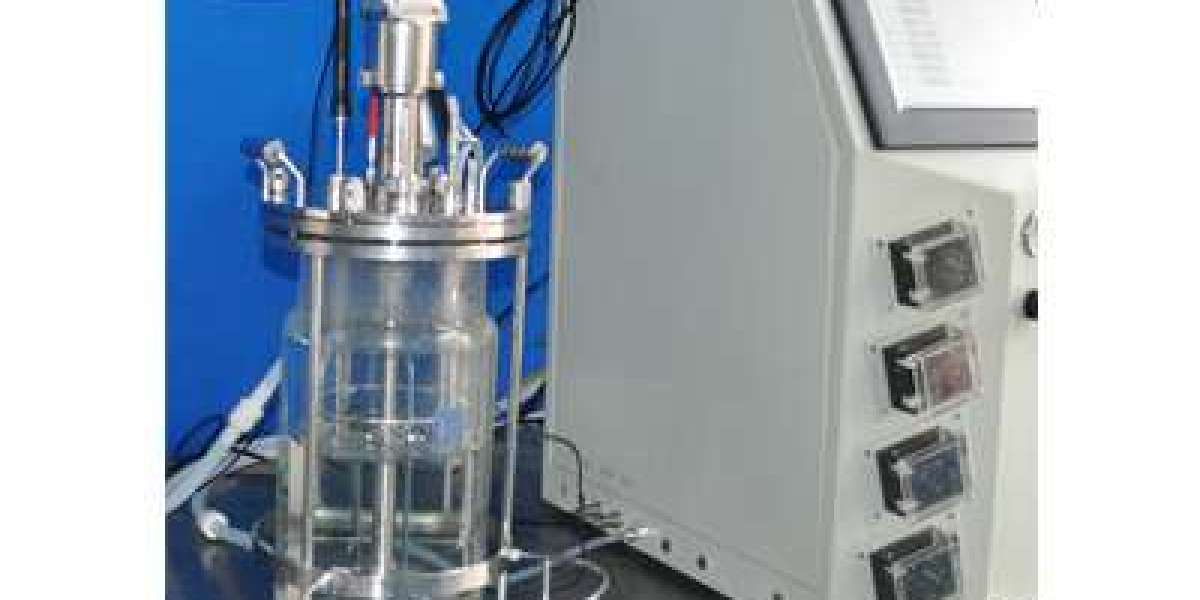 What is the difference between the bioreactor and the fermenter?