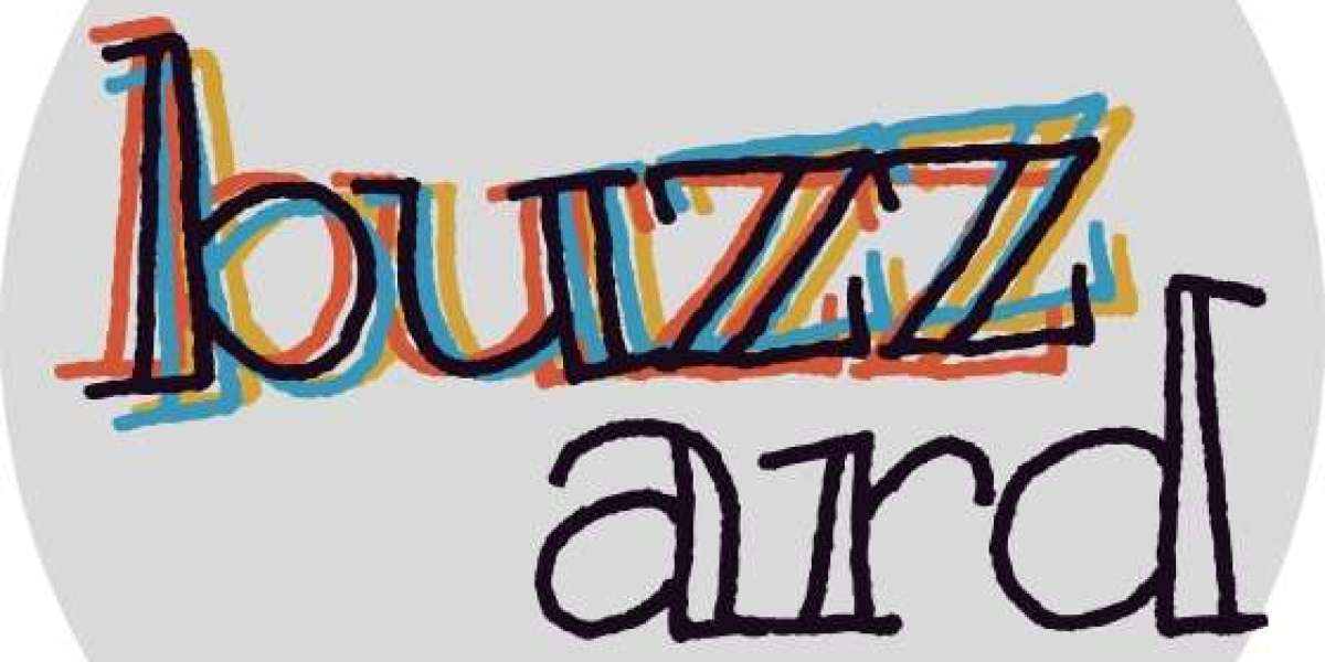 Best Digital Marketing Agency, Buzzard Pro