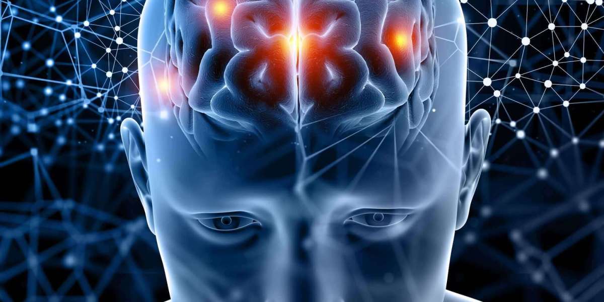 Does Modalert 200 improve cognitive function?
