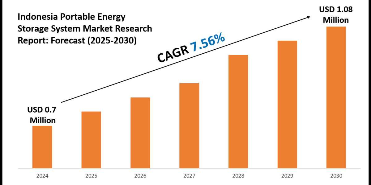 Indonesia Portable Energy Storage System Market Outlook: Size, Share, and Competitive Trends 2030