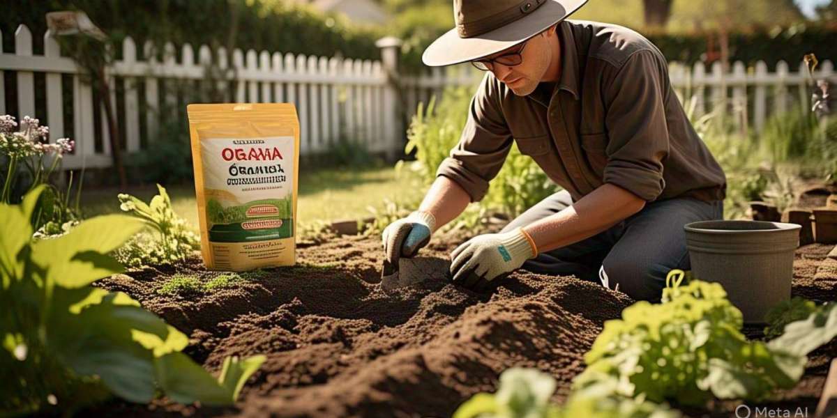 Soil Amendments Market Opportunities, Forecast, Size Analysis till 2031