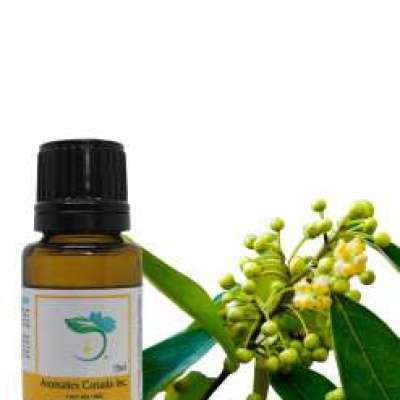 Citral Essential Oil Profile Picture