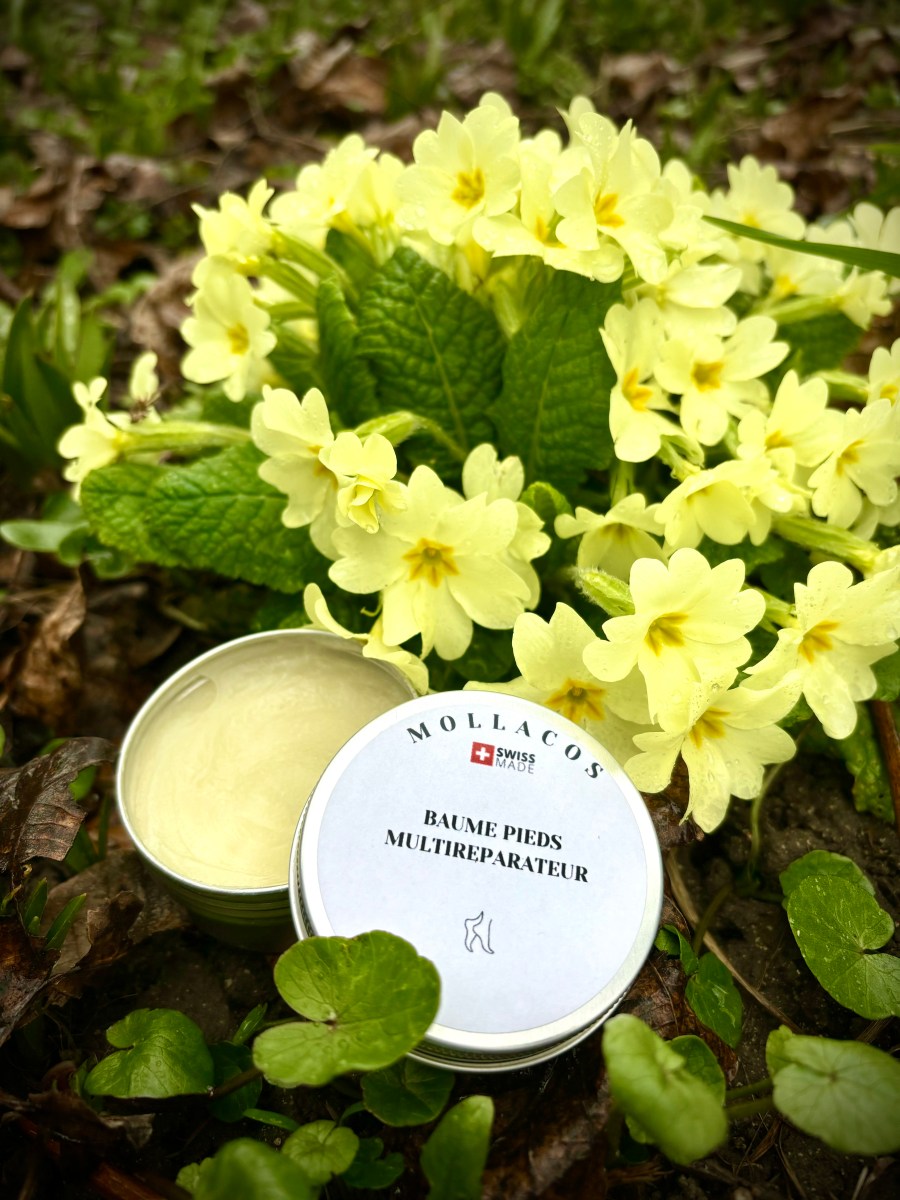 Baume multi-réparateur pieds et mains – Mollacos Cosmétiques artisanaux naturels vegans suisses
