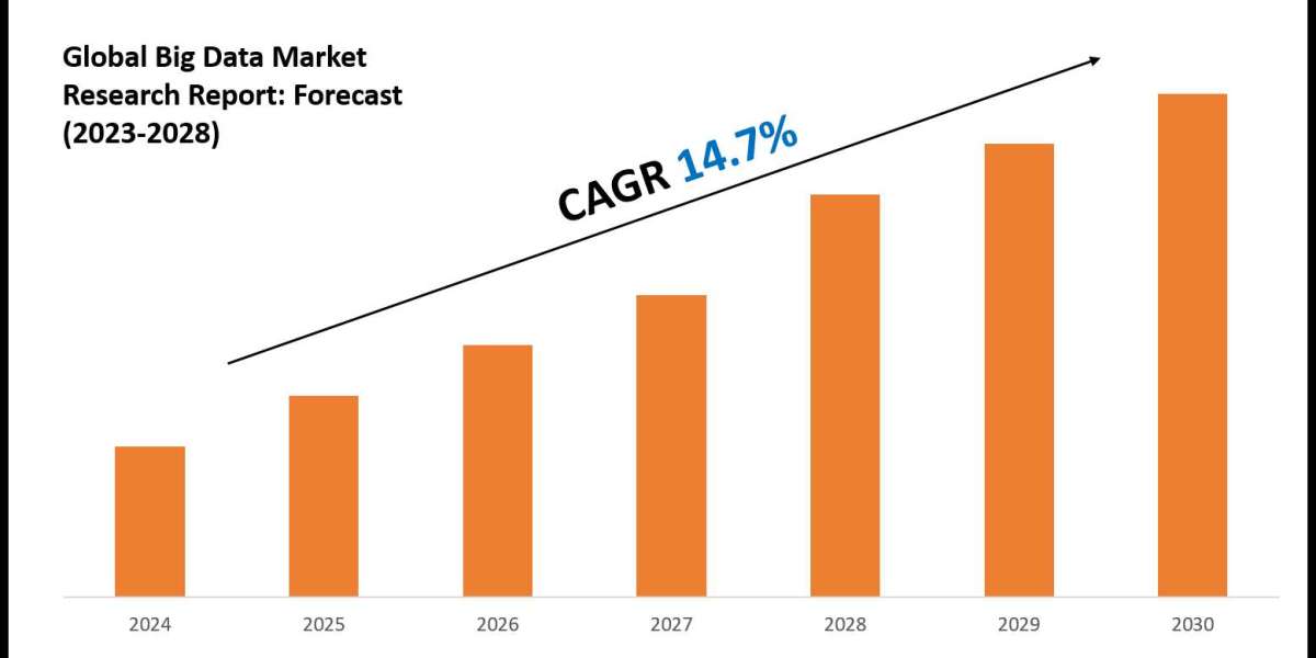 Big Data Market Forecast: Demand, Value & Player Insights 2030