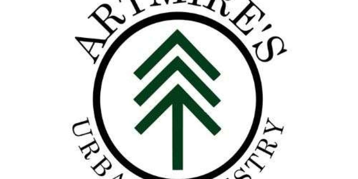 The Complete Guide to Tree Removal Services – What to Expect from Artmire’s Forestry