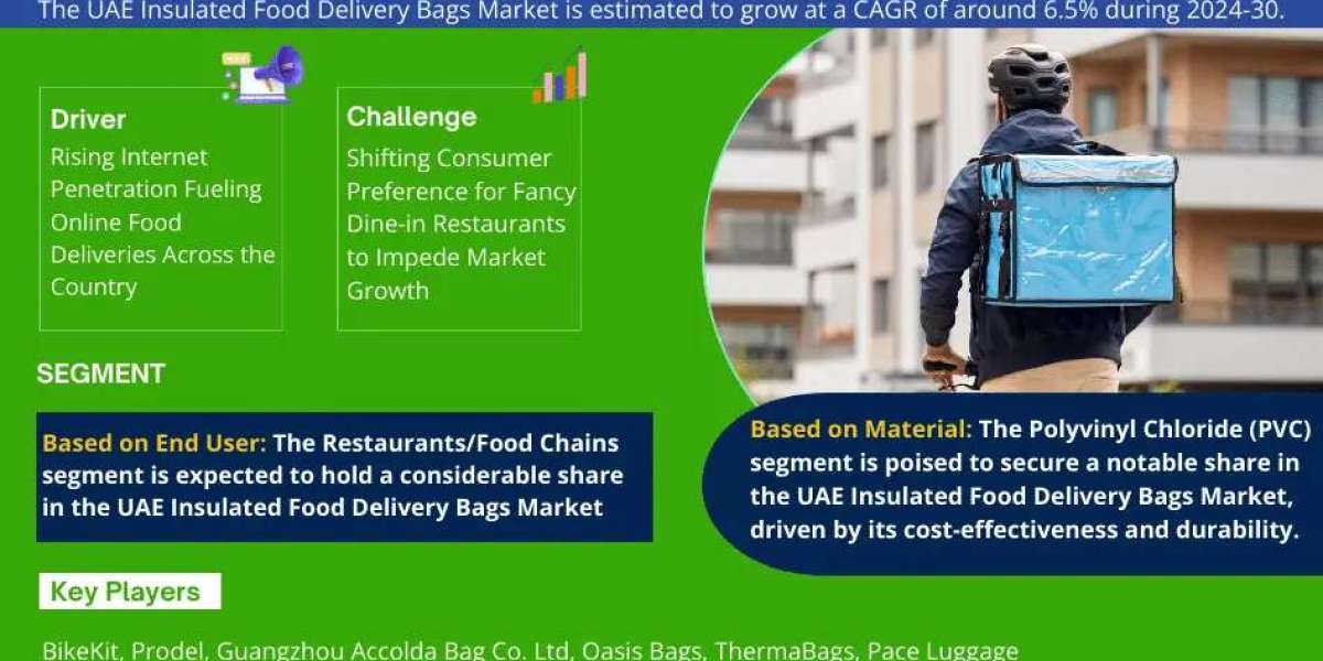 UAE Insulated Food Delivery Bags Market: Comprehensive Market Research Report 2030