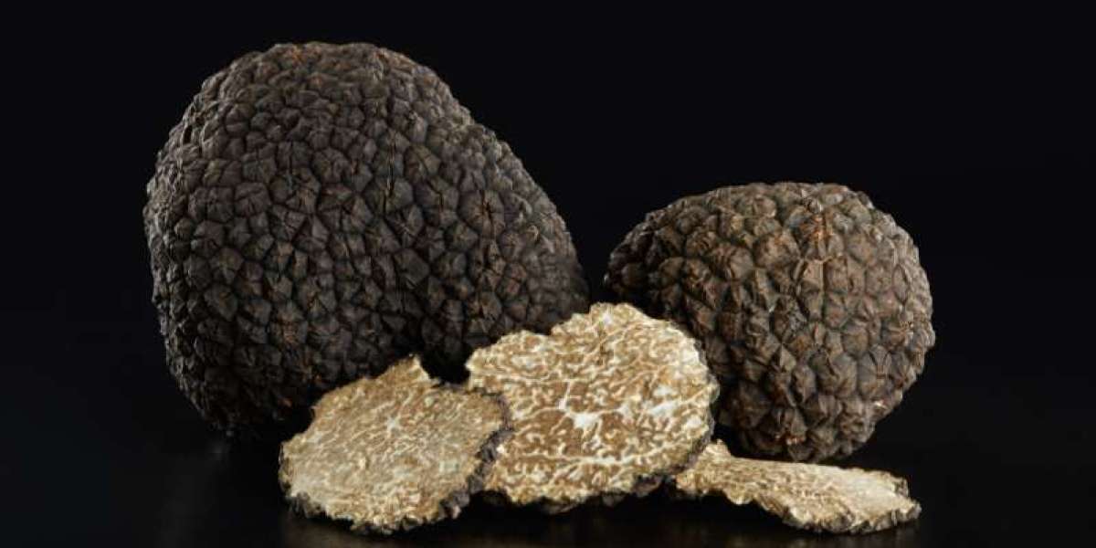 Black Truffles Market Size, Trends, Growth & Forecast 2023–2031 | The Insight Partners