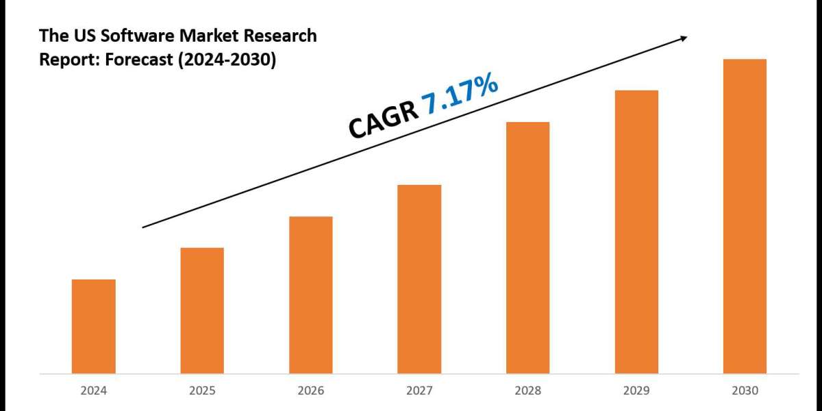 US Software Market Value, Forecast, and Industry Overview 2030