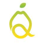 Quince medical