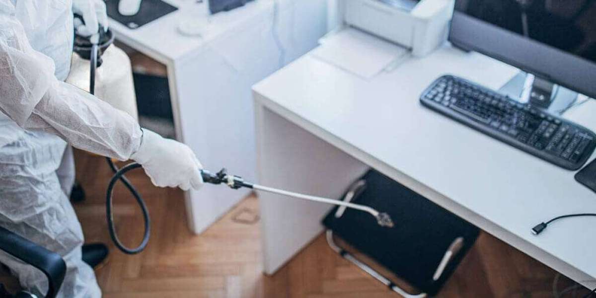 Defending Your Home: The Comprehensive Guide to Pest Control in King City