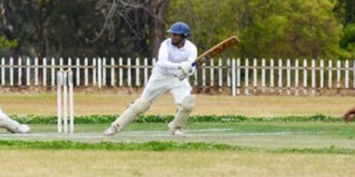 Shiva Online Book Cricket in the Spotlight: Exciting Match Highlights and Key Updates for 2025.