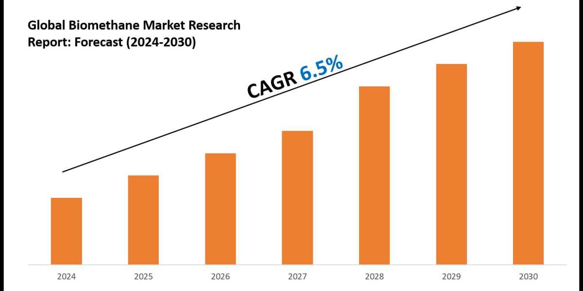 Biomethane Market Forecast: Demand, Value & Player Insights 2030