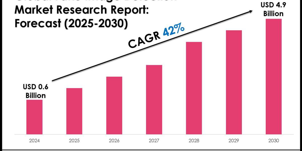 Fake Image Detection Market Value, Forecast, and Industry Overview 2030