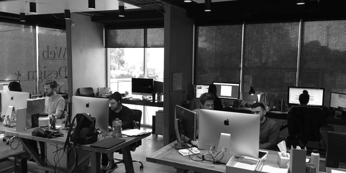 Unlocking Digital Success: Why Web Design in Melbourne Matters More Than Ever