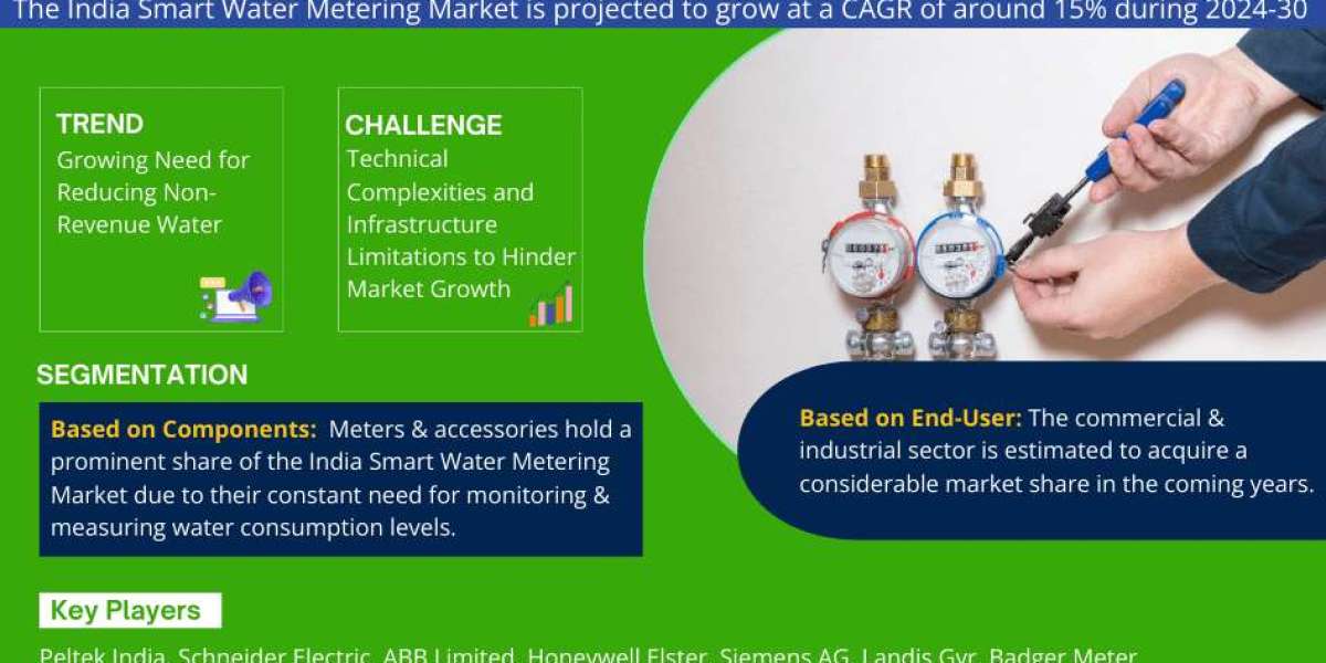 India Smart Water Metering Market Outlook: Size, Share, and Competitive Trends 2030