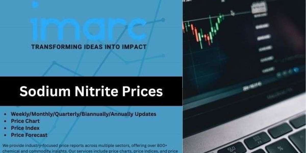 Sodium Nitrite Prices 2025: Price Trend, Index, Chart & Forecast Analysis