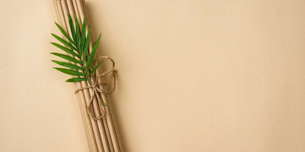 Setting up a Dry Coconut Leaves Based Biodegradable Straw Manufacturing Plant: Detailed Report