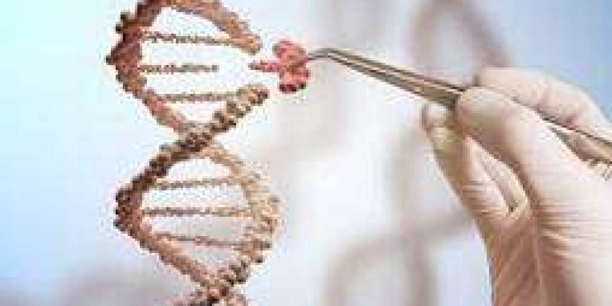 ADC Bioanalytics: Advancing Precision in Antibody-Drug Conjugate Development