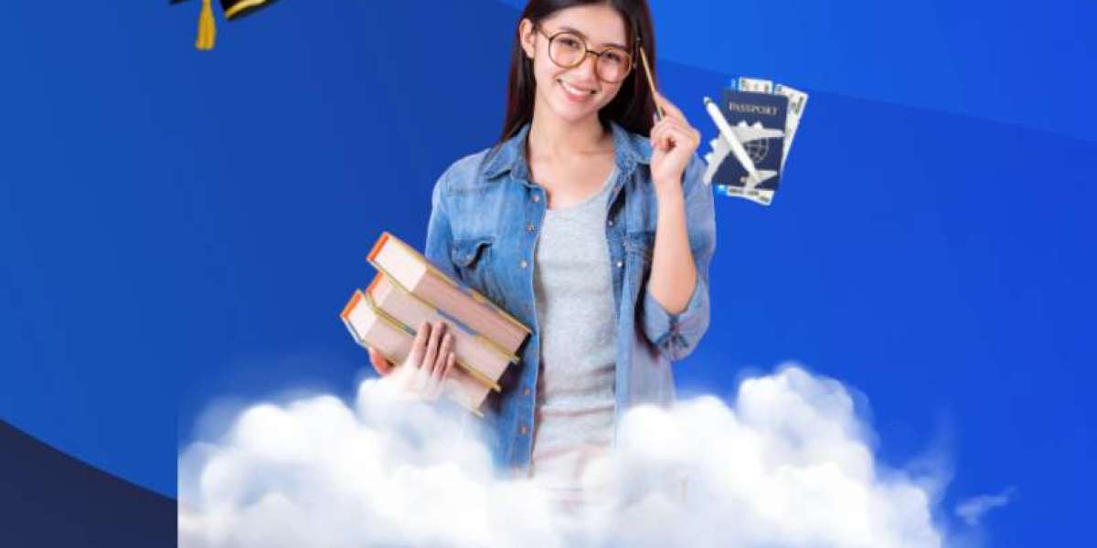 Study in the Netherlands: 5 Things You Should Know.
