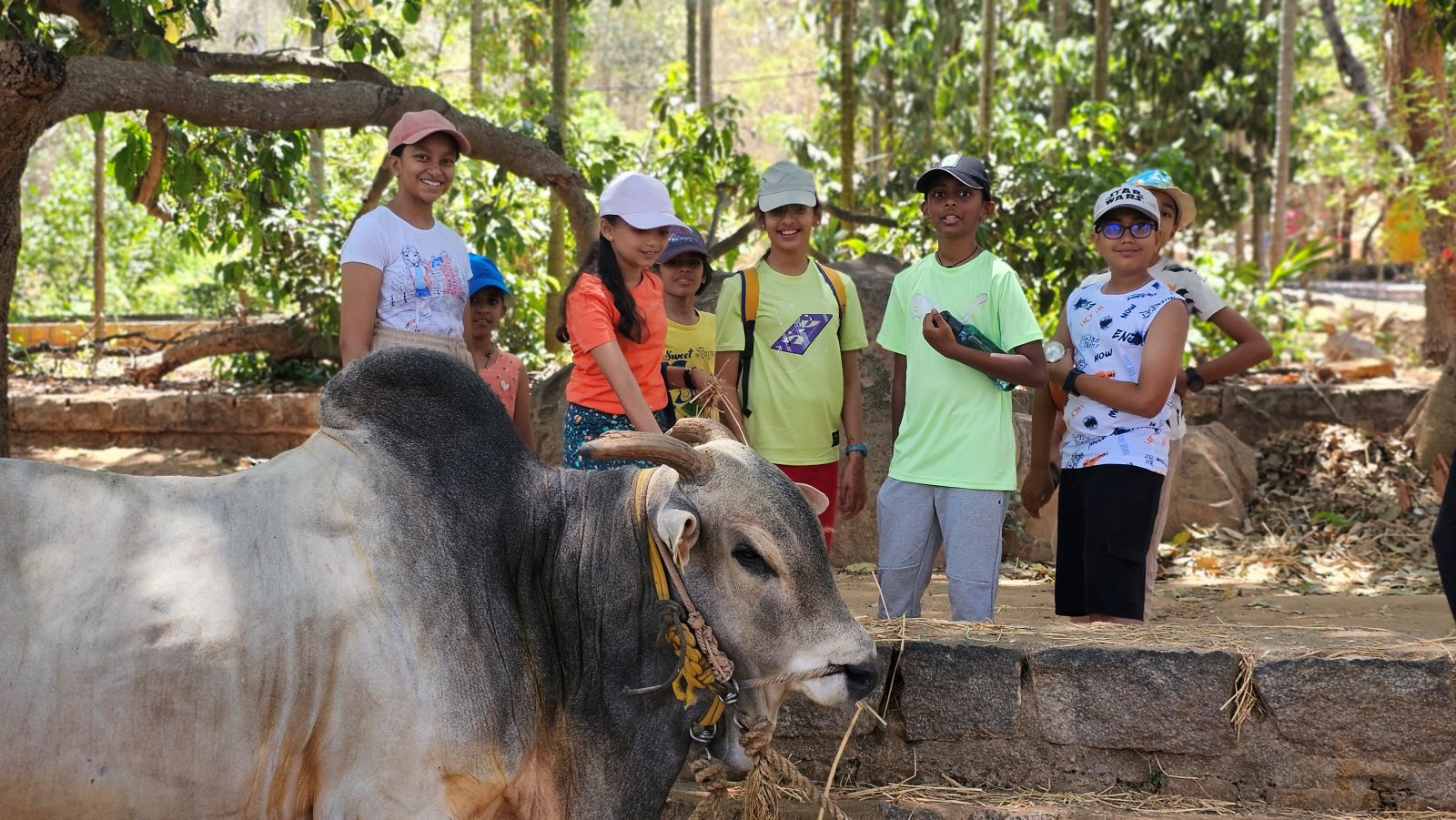 A Complete Guide to Planning a School Trip in Bangalore - Big Barn
