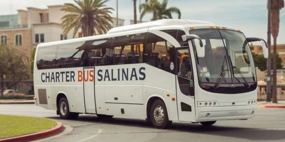 Flexible Charter Bus Rental Options for Every Group Size