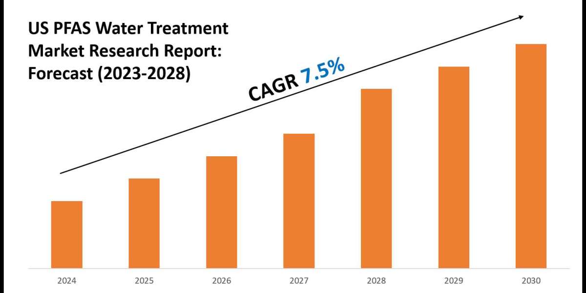 US PFAS Water Treatment Industry Forecast: Key Players and Growth Analysis 2028