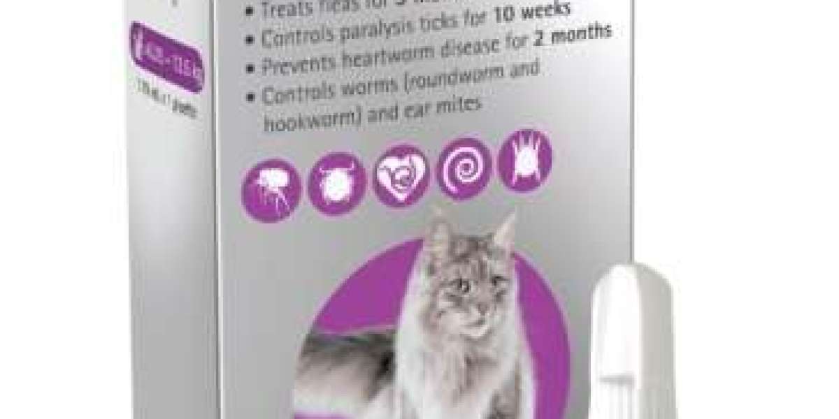 Bravecto For Cats