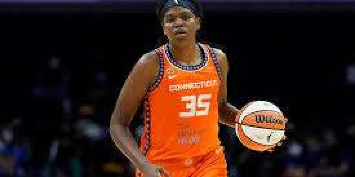 Chicago Sky Retain the services of Teresa Weatherspoon as Brain Educate