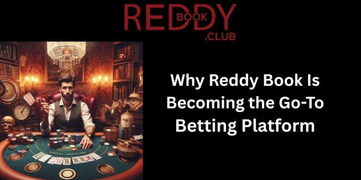 Why Reddy Book Is Becoming the Go-To Betting Platform