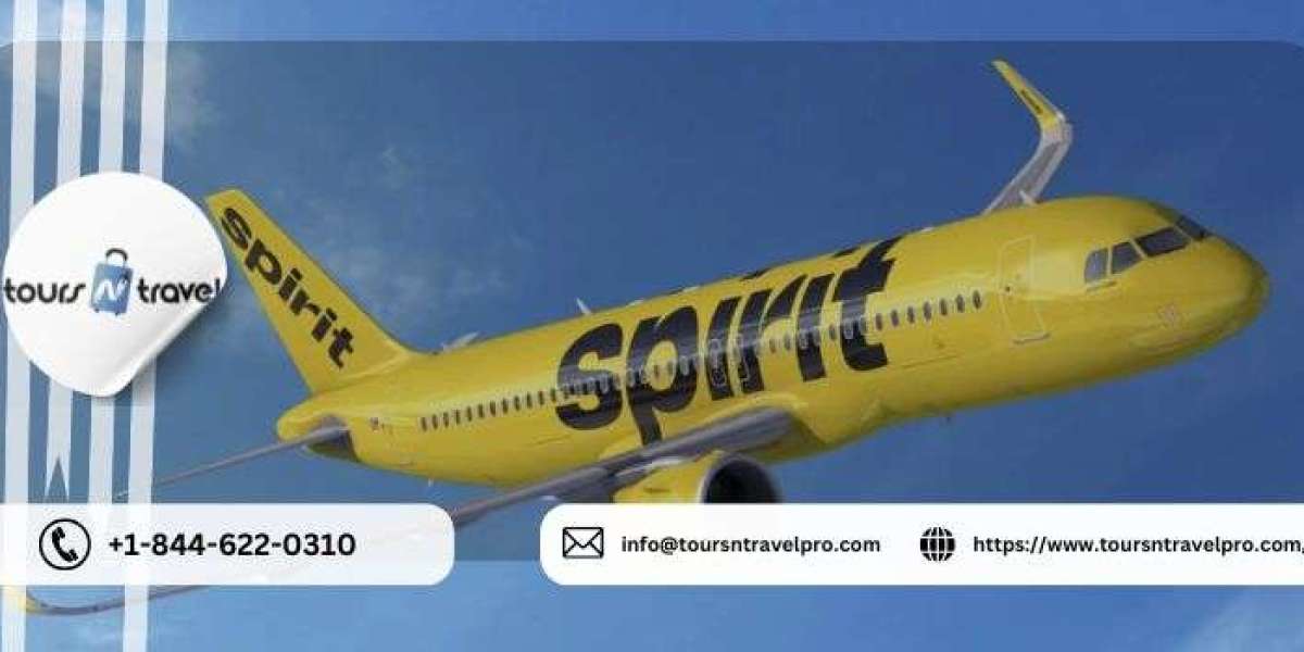 Spirit Airlines Name Change Policy