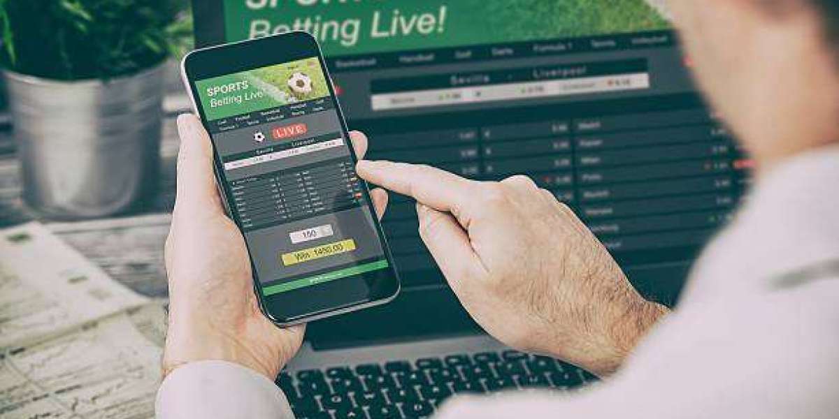 Elevating the Game with Football Bookie Software