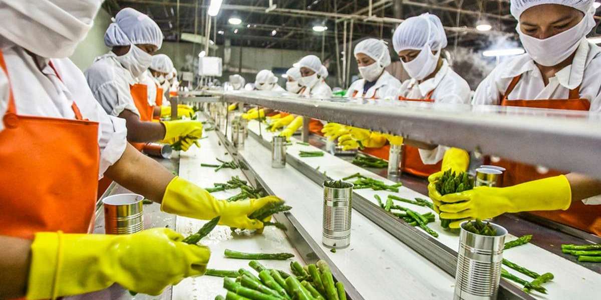 Machinery Requirements for Setting Up a Food Processing Plant