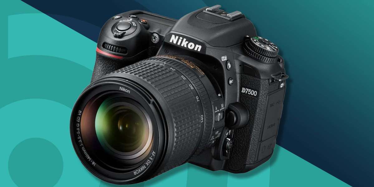 Beginner-Friendly DSLR Cameras at Reasonable Prices