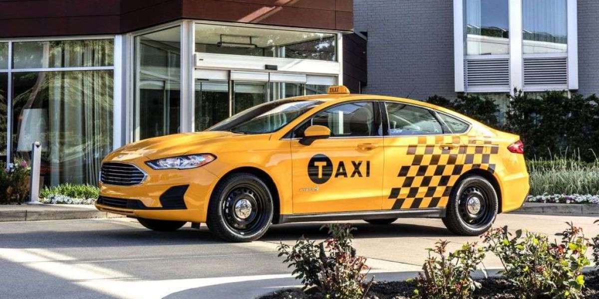 How to Know If a Gisborne Taxi Is Legit and Safe