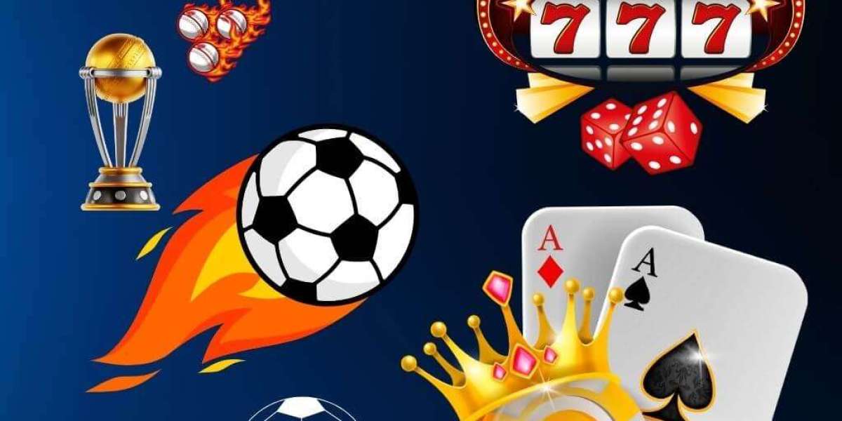 Playwise 365: Your Trusted Destination for Online Betting Excellence