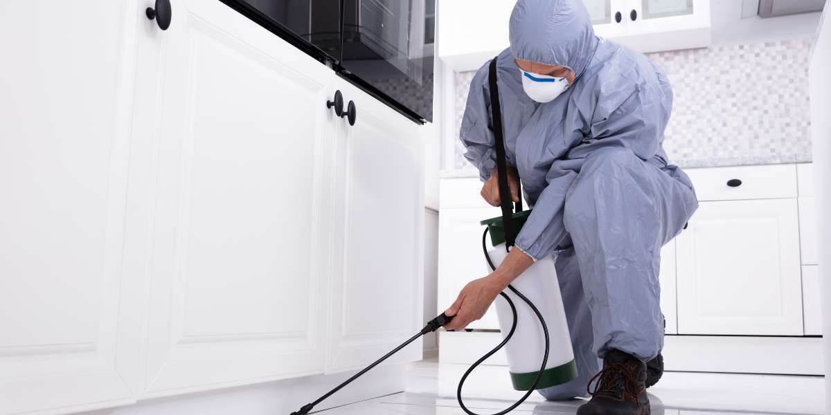 Rodent Control Coquitlam: Top 5 Ways to Keep Your Home Rodent-Free All Year