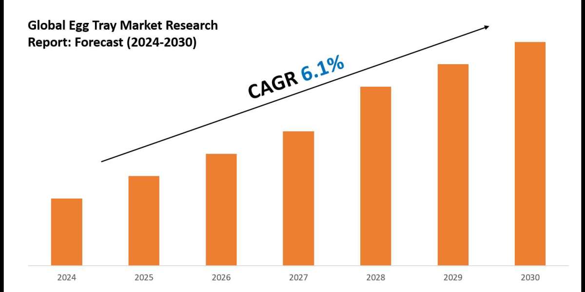 Egg Tray Market Value, Forecast, and Industry Overview 2030