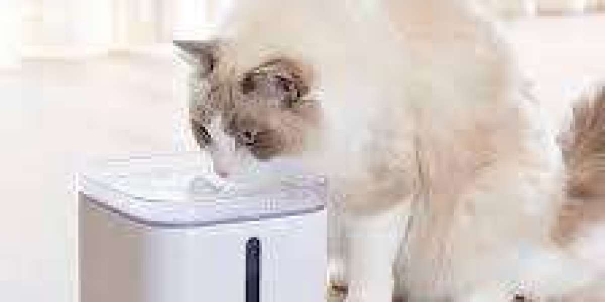 Reliable Refreshment from tallfly China Pet Water Fountain Solutions