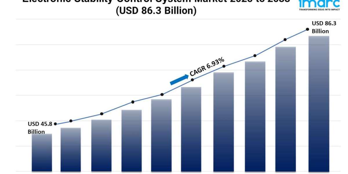 Electronic Stability Control System Market Growth, and Demand 2025-2033