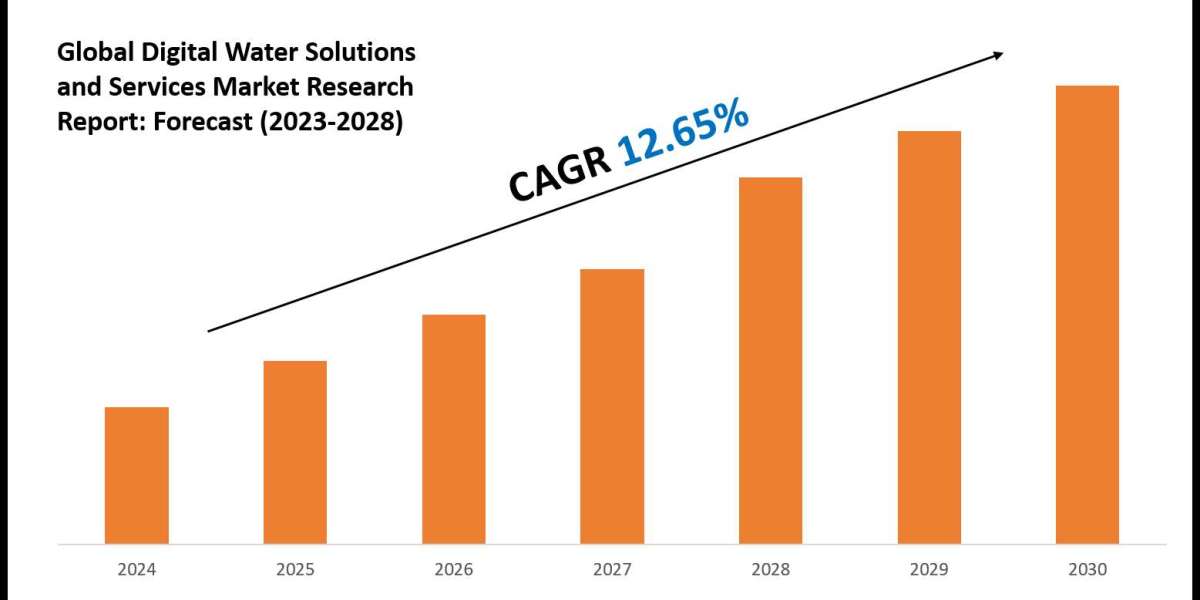 Digital Water Solutions and Services Industry Forecast: Key Players and Growth Analysis 2030