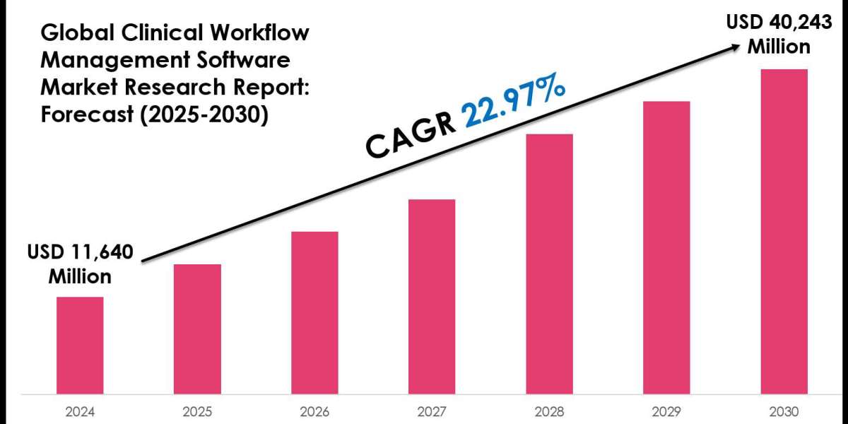 Clinical Workflow Management Software Market Outlook: Size, Share, and Competitive Trends 2030