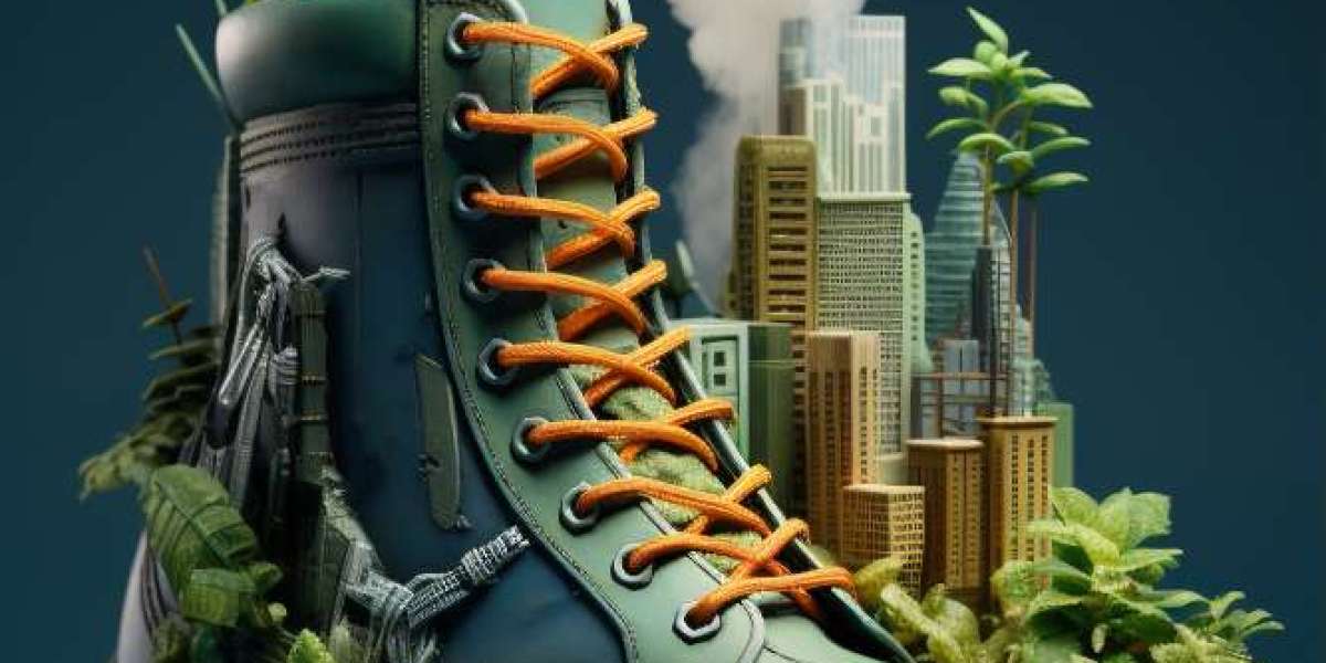 The Geo-Mapping of the Sustainable Footwear Market
