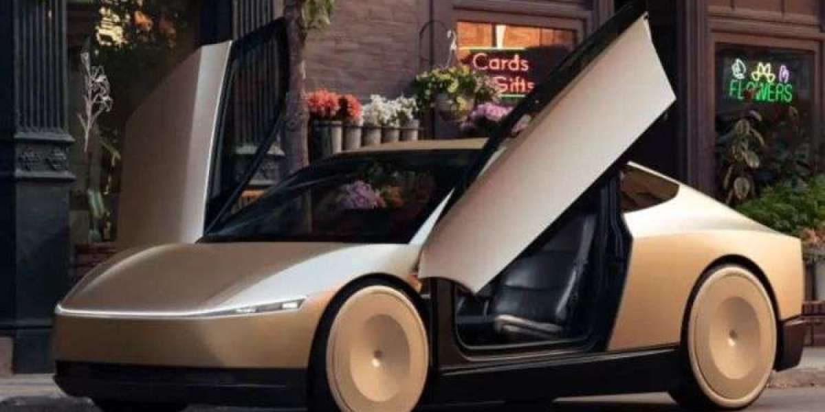 Robo Taxi Market Outlook, Trends, and Growth Forecast 2025-2033