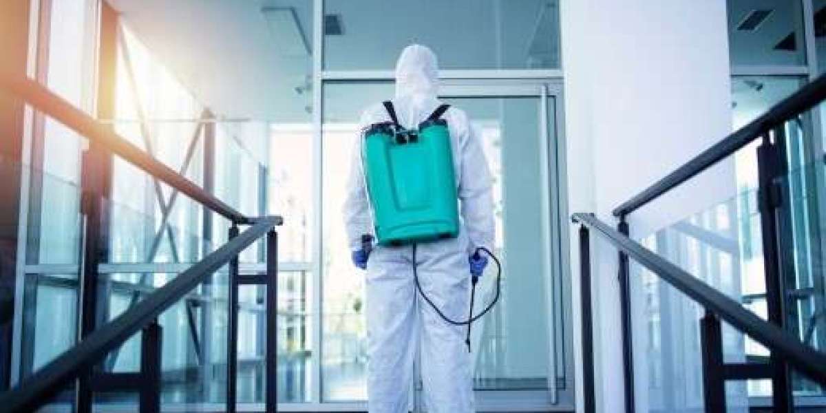 Why Businesses Need Monthly Pest Control Contracts