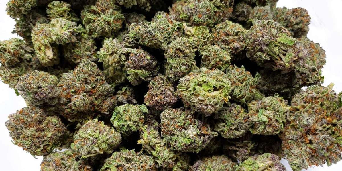 Why Bulk Buddy Is the Best Place to Buy Budget Bud Online