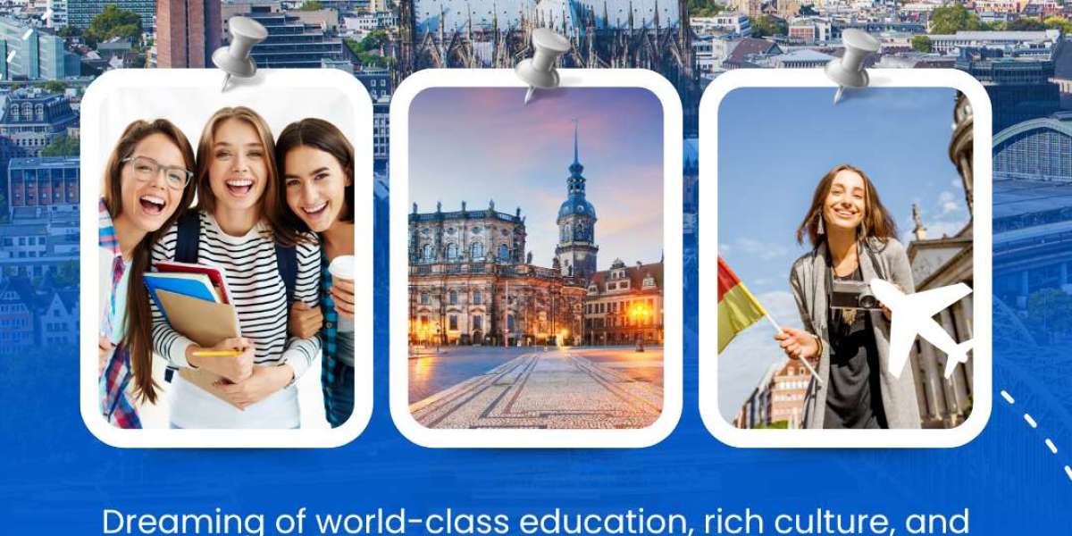 MBA in Germany without work experience