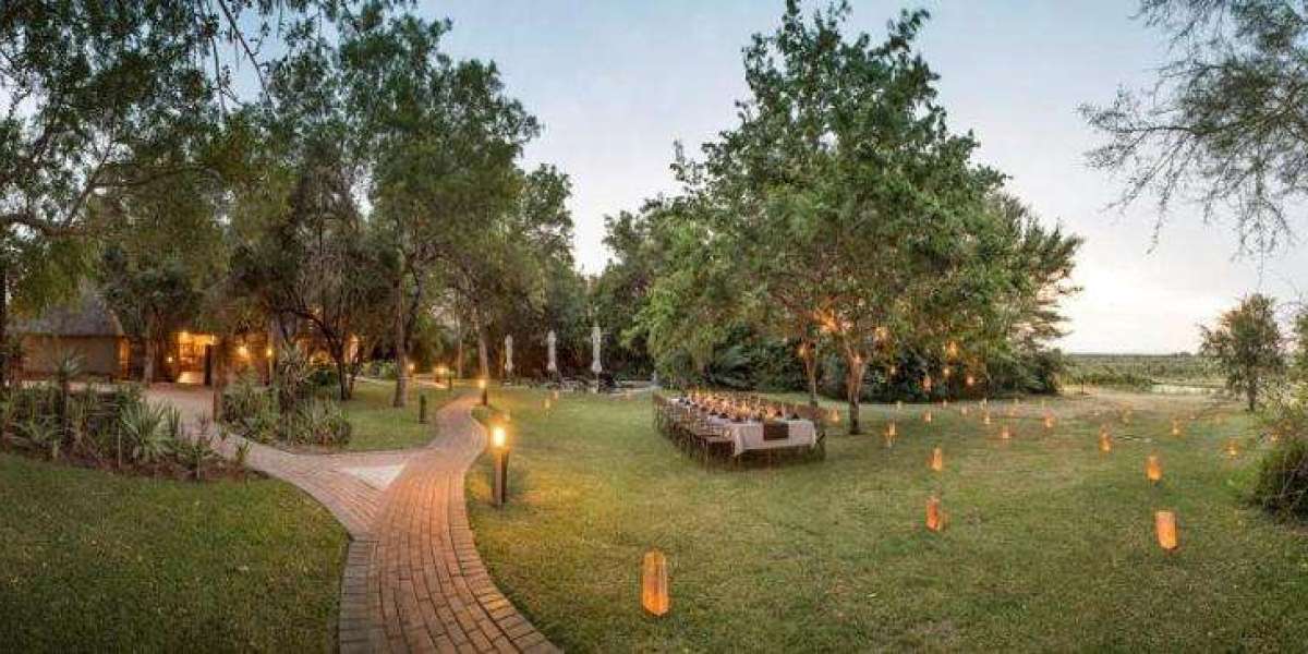 Prime Kruger national park resorts for your safari vacation
